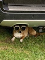 1707201464109.jpeg