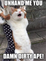 1712159847897.png