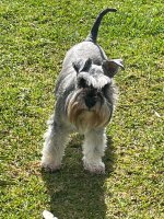 IMG_4922.jpeg