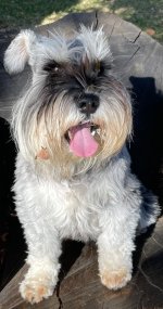 IMG_5501.jpeg