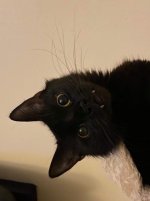 Fg0ibGHX0AA2aZj.jpeg