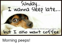 1716079833304.png