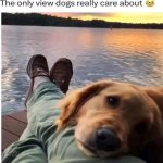 1720079605701.jpeg