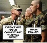 FB_IMG_1721383983906.jpg