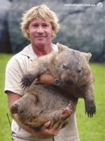 Irwin.jpg