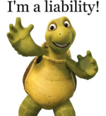 1723490441052.png