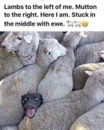 1723936379126.jpeg