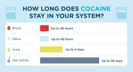 how-long-does-cocaine-stay-in-your-system.jpg