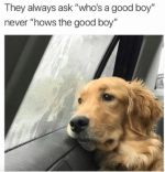 1725752708624.png