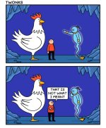 FB_IMG_1728113459554.jpg