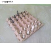 1728336060949.jpeg