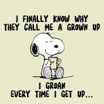 FB_IMG_1728278210002.jpg