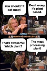 FB_IMG_1729193847752.jpg