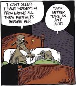 FB_IMG_1730446089261.jpg