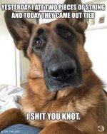 FB_IMG_1730879847587.jpg