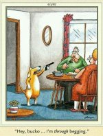 FB_IMG_1730607352639.jpg