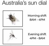 1730974655445.jpeg