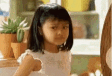 why-not-both.gif