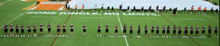 spot the player.png