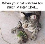 FB_IMG_1732735160710.jpg