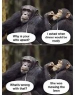 FB_IMG_1732608301187.jpg