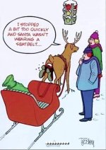 FB_IMG_1730834018533.jpg