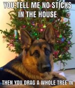 FB_IMG_1734994378739.jpg