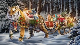 yule_tiger_by_alienoffspring_dewomrp-414w-2x.jpg