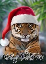 IMG_4542.jpeg