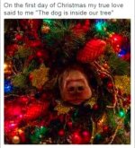 1735073229804.jpeg