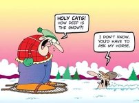 FB_IMG_1735249399288.jpg