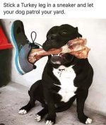 1735454157057.jpeg