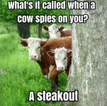 FB_IMG_1735594584460.jpg