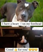 FB_IMG_1735508558320.jpg