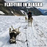FB_IMG_1735697082137.jpg