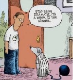 FB_IMG_1736407402612.jpg