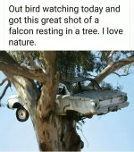 FB_IMG_1736560997516.jpg