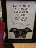FB_IMG_1736763735469.jpg