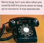 1737617335727.jpeg