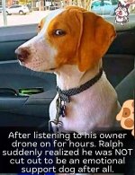 FB_IMG_1737610277130.jpg