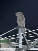 IMG_6912.jpeg
