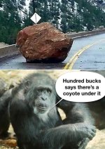 FB_IMG_1738475455351.jpg