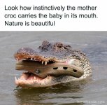FB_IMG_1739258221430.jpg