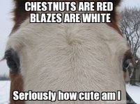 1739395977954.jpeg