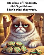 FB_IMG_1739605171066.jpg
