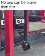 FB_IMG_1740288387890.jpg