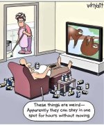 FB_IMG_1741402139641.jpg