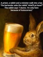 FB_IMG_1741287914073.jpg