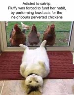 FB_IMG_1742378686502.jpg