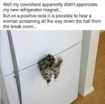 FB_IMG_1742611288189.jpg